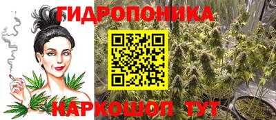 стаф Краснокаменск
