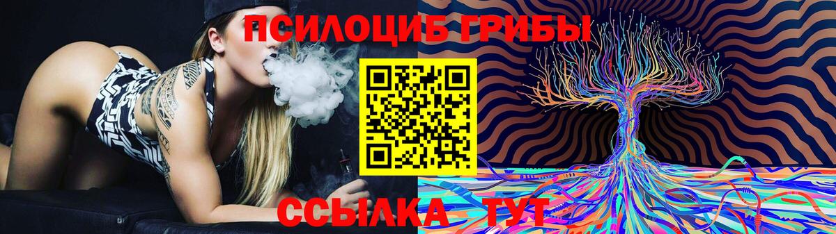 Галлюциногенные грибы Magic Shrooms  купить наркотики сайты  Галлюциногенные грибы прущие грибы  Воскресенск  Вход с VPN 